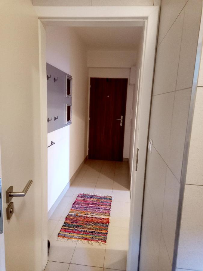 Apartmany Za Sneznikem Dolní Morava Екстериор снимка