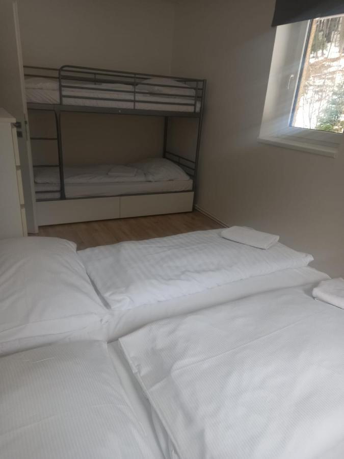 Apartmany Za Sneznikem Dolní Morava Екстериор снимка