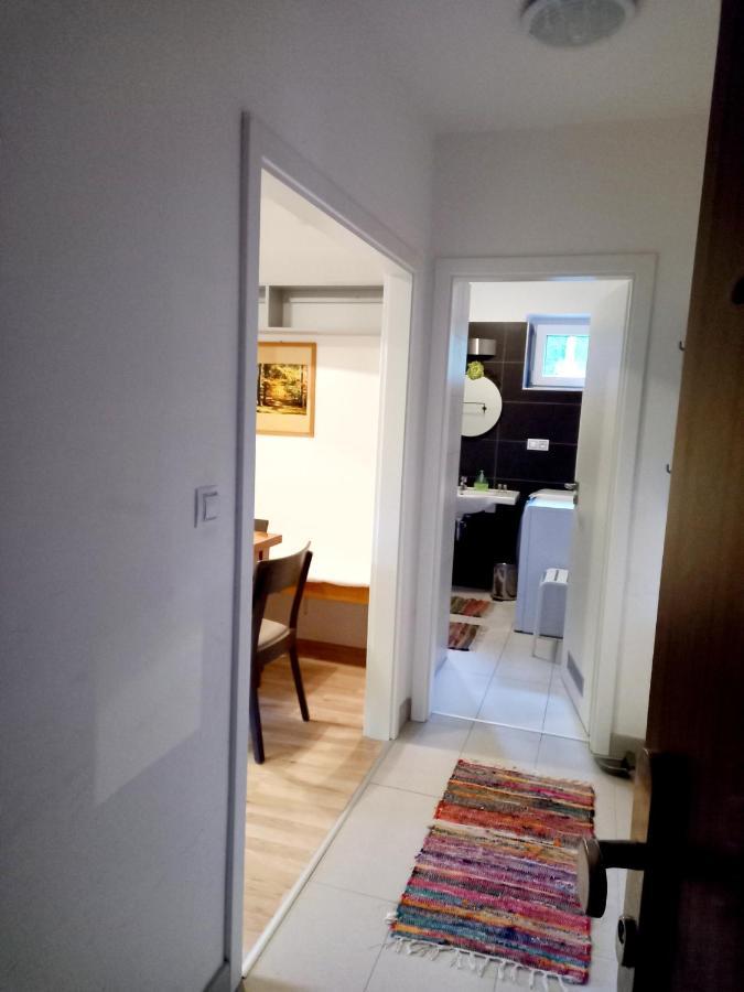 Apartmany Za Sneznikem Dolní Morava Екстериор снимка